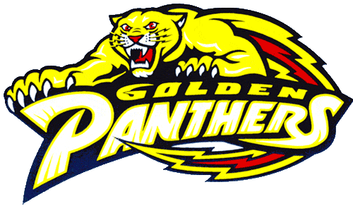 FIU Panthers 1994-2000 Primary Logo diy fabric transfer